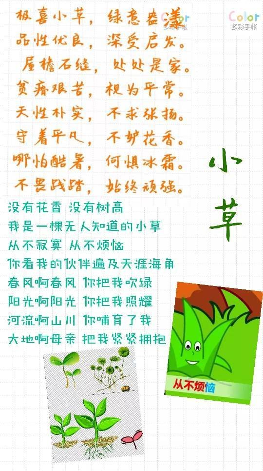 关于小草的诗句作文